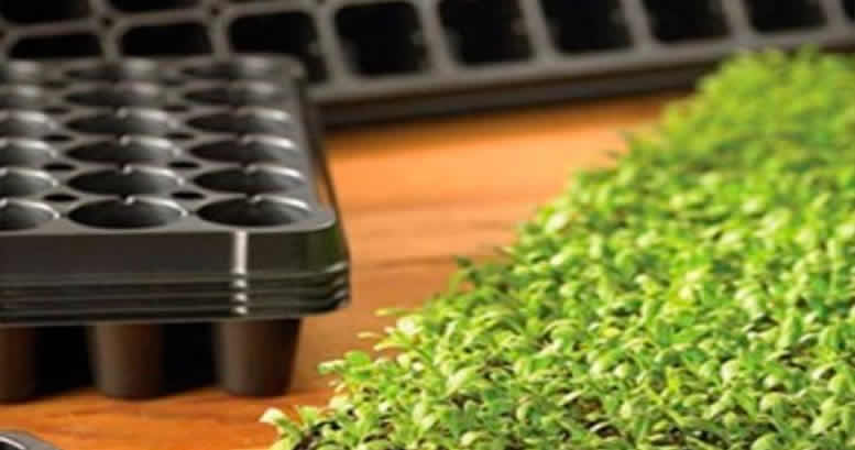 BANDEJAS DE GERMINACIÓN