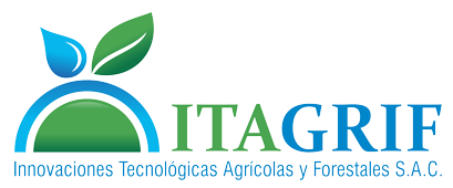 Página Principal