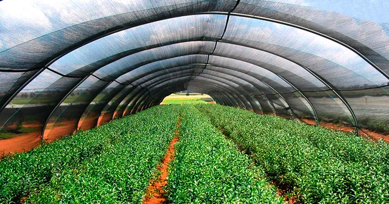MALLAS AGRÍCOLAS