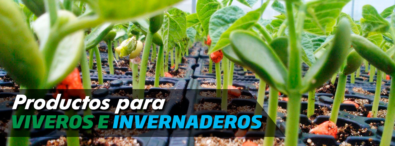 ITAGRIF Innovaciones Tecnológicas Agrícolas y Forestales